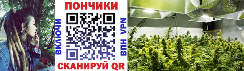 Шишки марихуана AK-47  сколько стоит  Волгодонск 